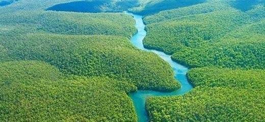 南美洲有哪些国家