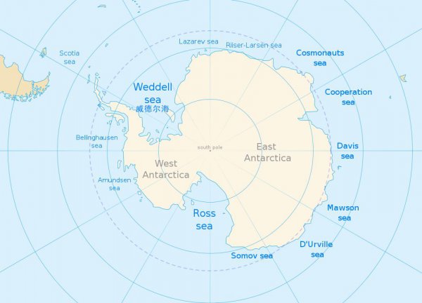 世界上什么海最大