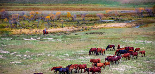 普快是高铁还是火车