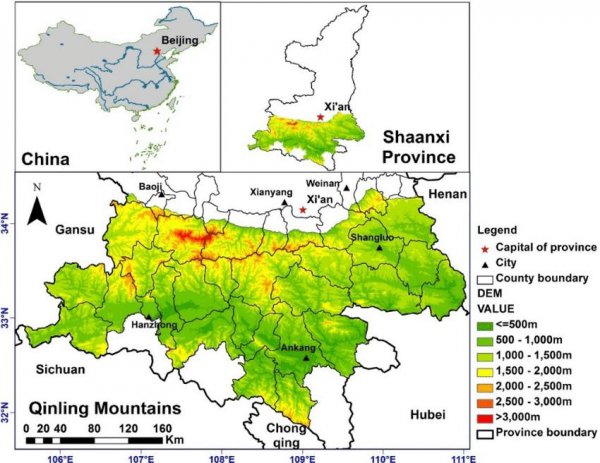 秦岭深处的恐怖事件