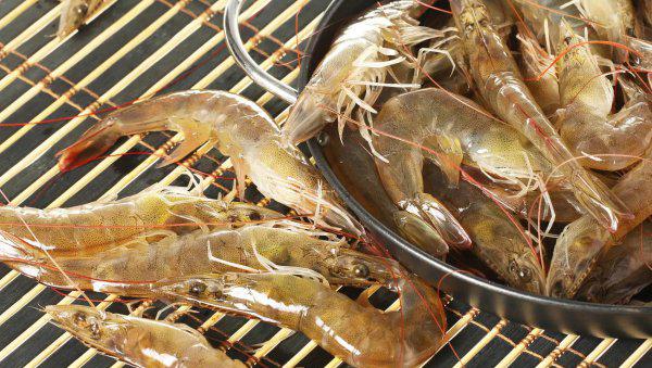 虾的品种大全及图片