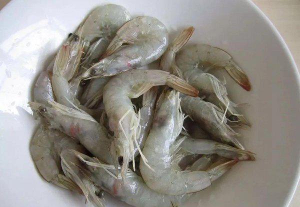 虾的品种大全及图片