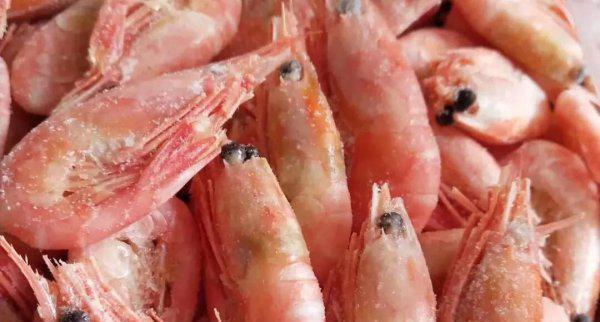 虾的品种大全及图片