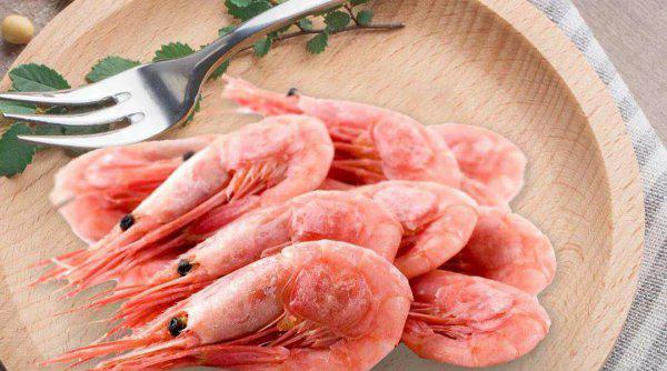 虾的品种大全及图片