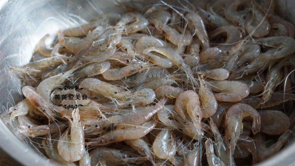 虾的品种大全及图片