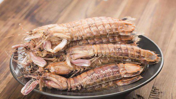 虾的品种大全及图片