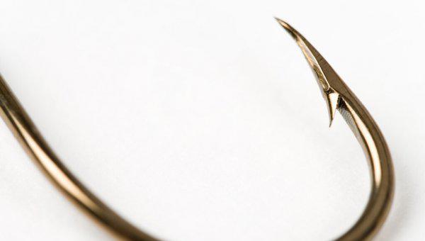 如何钓大鲶鱼饵料技巧及钓法详解