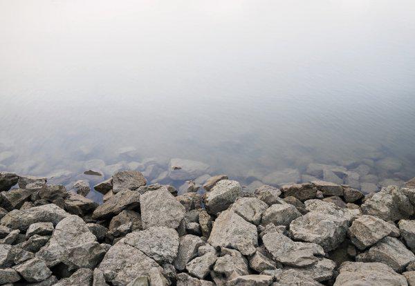 如何钓大鲶鱼饵料技巧及钓法详解