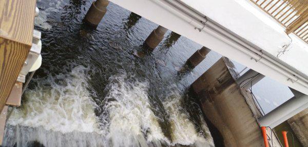 如何钓大鲶鱼饵料技巧及钓法详解