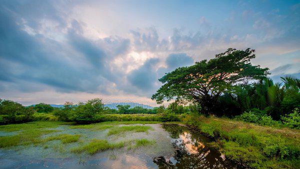 如何钓大鲶鱼饵料技巧及钓法详解