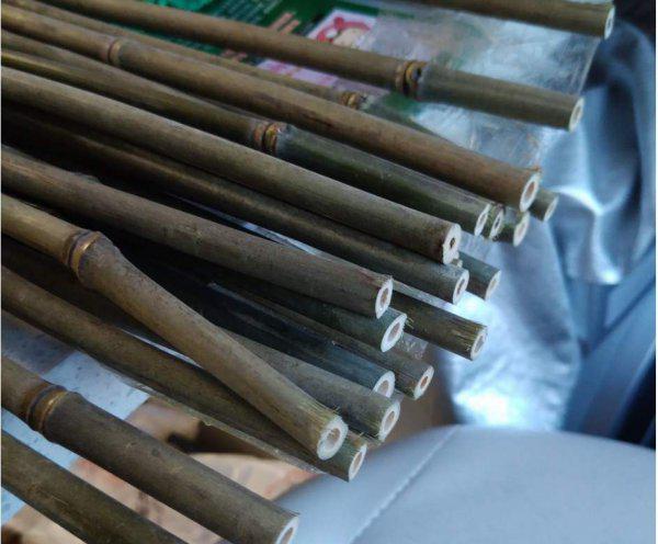 如何钓大鲶鱼饵料技巧及钓法详解