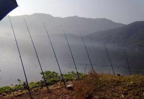 如何钓大鲶鱼饵料技巧及钓法详解