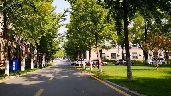 山东大学的全国排名是多少名