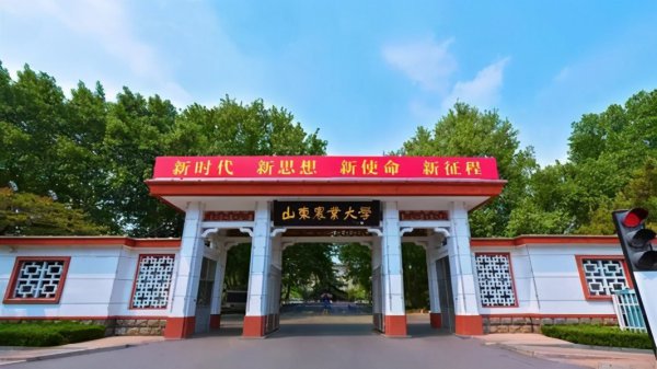 山东大学的全国排名是多少名