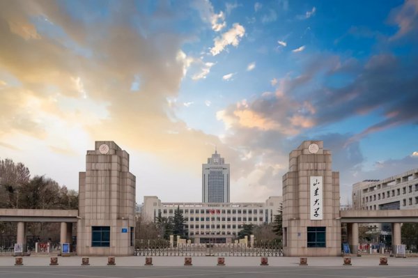 山东大学的全国排名是多少名