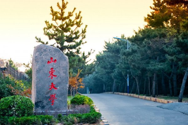 山东大学的全国排名是多少名