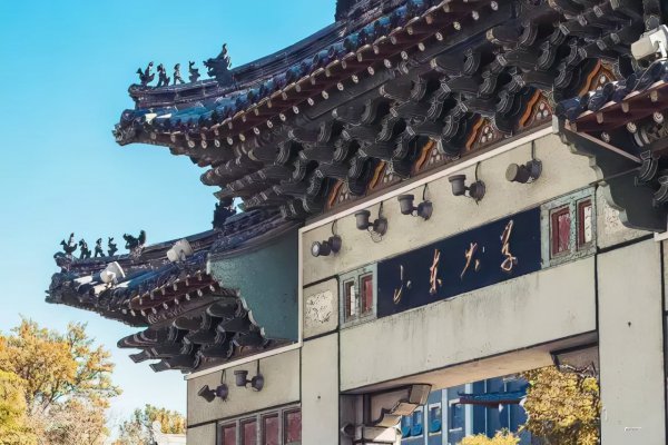 山东大学的全国排名是多少名