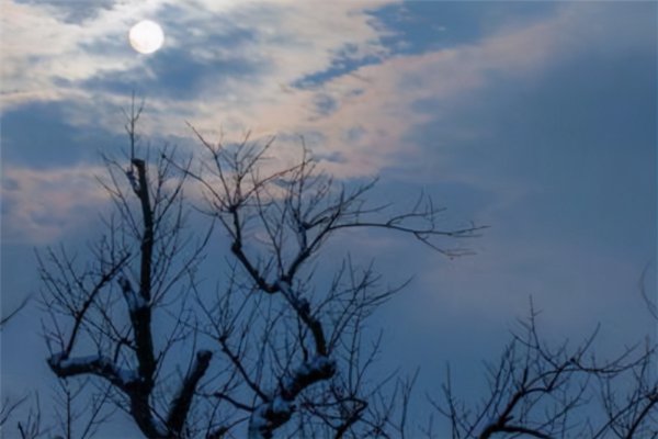 恐怖音乐排行榜前十名