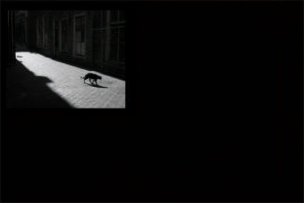 恐怖音乐排行榜前十名