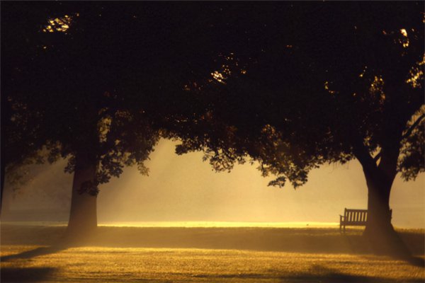 恐怖音乐排行榜前十名