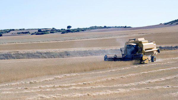 老话说秋怕雷是什么意思