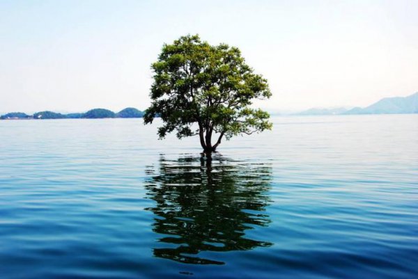 九江旅游攻略必去的景点