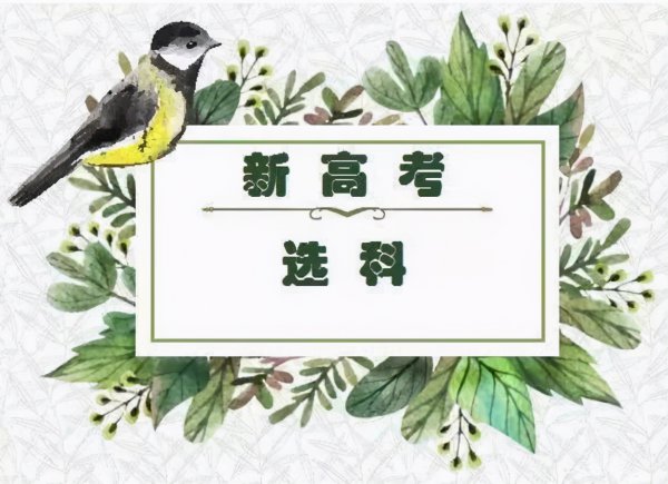 高中选课什么组合最好