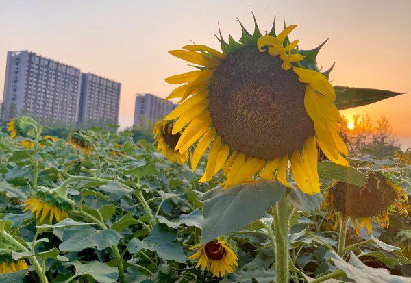 浙江工商大学什么档次大学