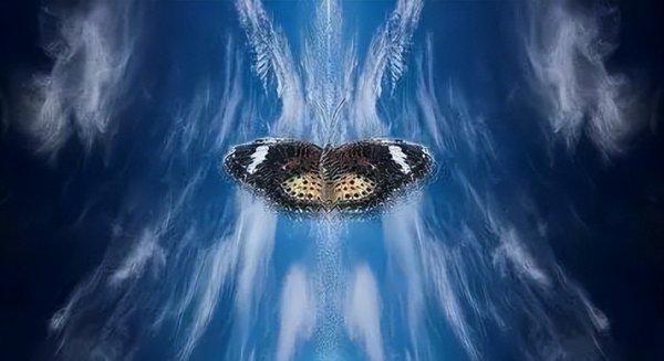 人生必看10部纪录片