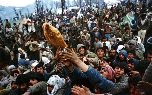 伊拉克人口与面积是多少