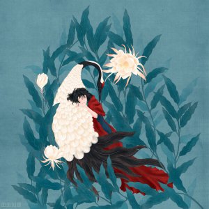 青云台沉筱之讲的什么简介 高质量古言青云台内容介绍