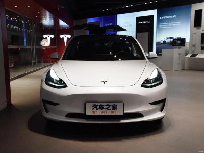 特斯拉只有一个踏板吗 特斯拉的单踏板模式车型有何意义