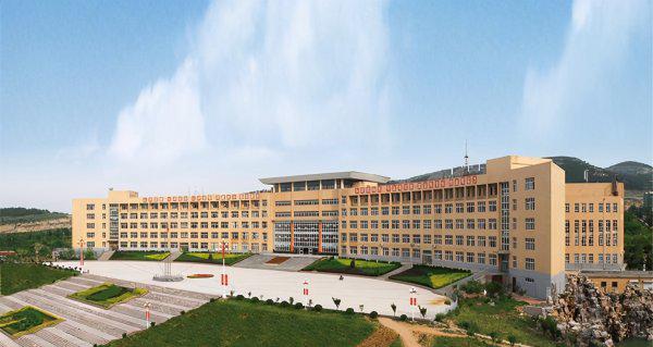 山东民办大学本科排名