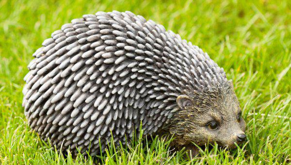 民间刺猬进宅风水有什么说法