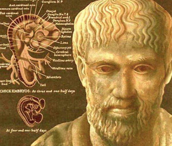 亚里士多德简介及主要思想贡献