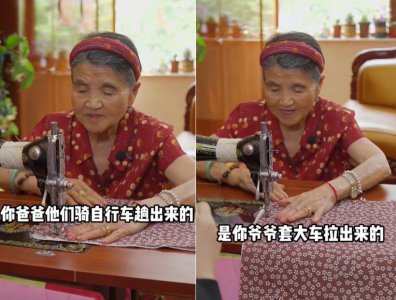 杨子妈妈家是干什么的 杨子的妈妈是干什么的是哪里人