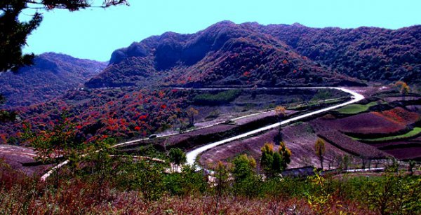 咸阳有什么旅游景点