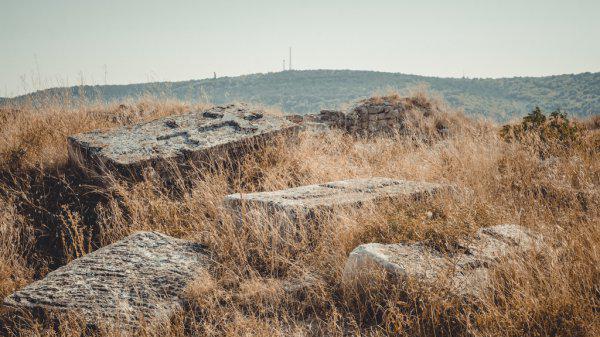 坟地栽树怎么栽栽几棵