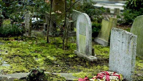 坟地栽树怎么栽栽几棵