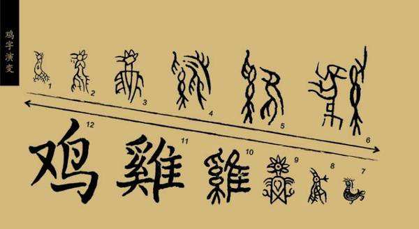 古人常说鸡有五德指的是哪五德