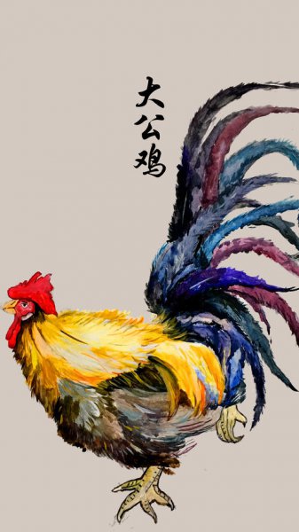 古人常说鸡有五德指的是哪五德