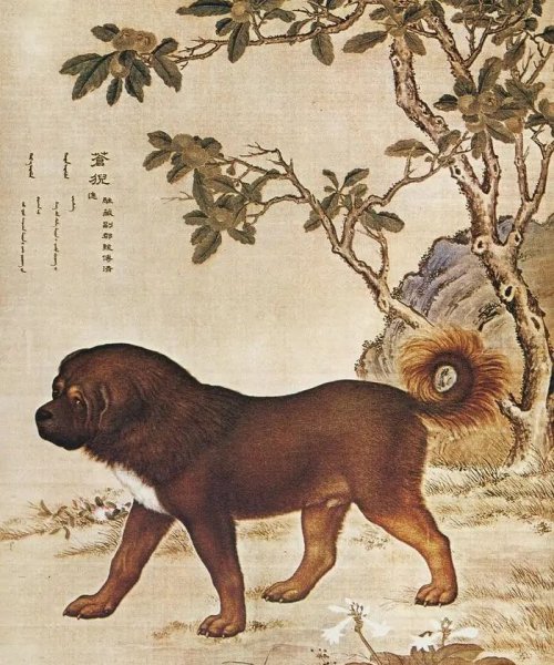 清代宫廷画师郎世宁的作品