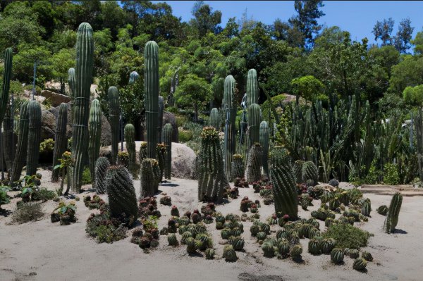 福建厦门旅游必去十大景点