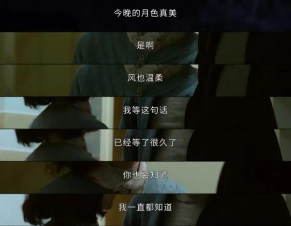 风也温柔是什么意思