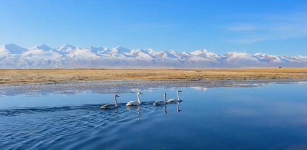 新疆的旅游景点有哪些