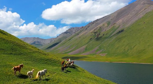 新疆的旅游景点有哪些