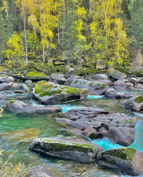 新疆的旅游景点有哪些