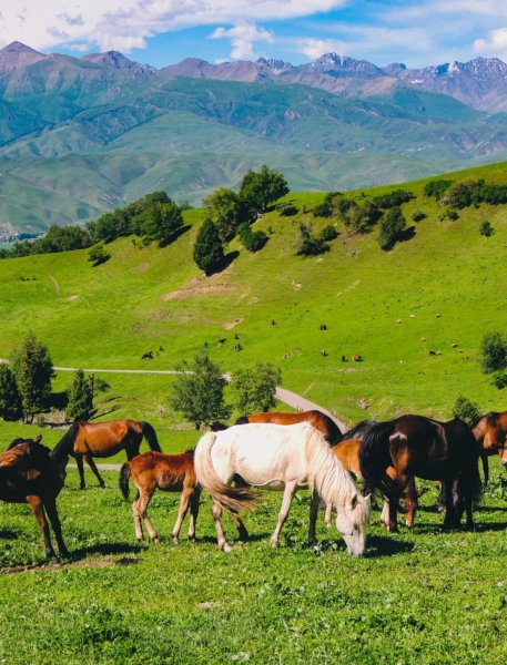 新疆的旅游景点有哪些