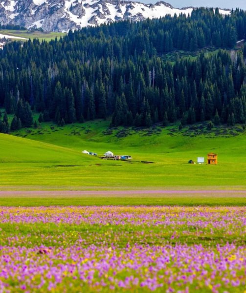 新疆的旅游景点有哪些