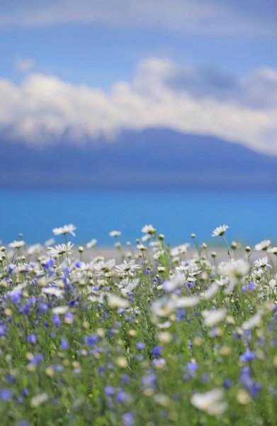 新疆的旅游景点有哪些